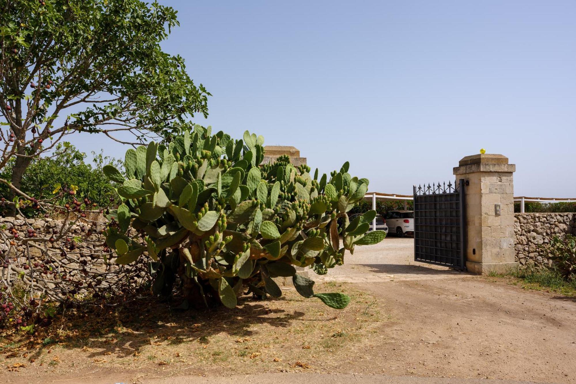 Masseria Bernardini By Symphonya Luxury Rentals Nardò Exterior foto